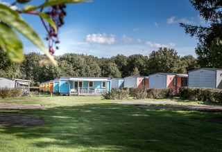 Coloridas cabañas en Forest lodge de Vakantiepark De Luttenberg, Países Bajos, rodeadas de vegetación.