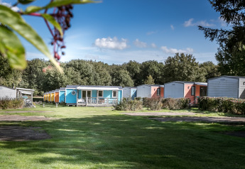Lyse farvede feriehytter ved Forest lodge i Vakantiepark De Luttenberg, omgivet af grøn natur.