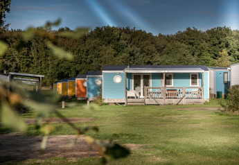 Blå og farverige mobilhytter foran en grøn skov, set fra en græsplæne ved Forest Lodge.