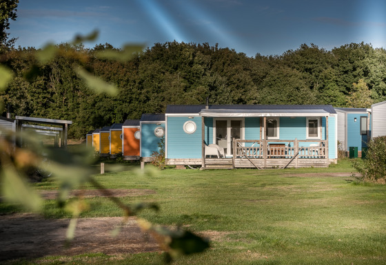 Kleurrijke chalets met veranda op een grasveld, gelegen naast het bos bij Forest Lodge.