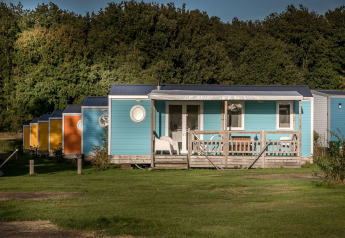 Række farverige hytter med verandaer ved Forest lodge i Vakantiepark De Luttenberg, omgivet af skov.