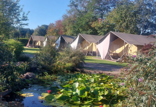 Flotte safaritelte på grønne græsarealer ved vandhul i Vakantiepark De Luttenberg, Holland, på en solskinsdag.