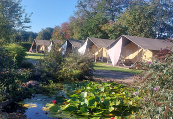 Flotte safaritelte på grønne græsarealer ved vandhul i Vakantiepark De Luttenberg, Holland, på en solskinsdag.