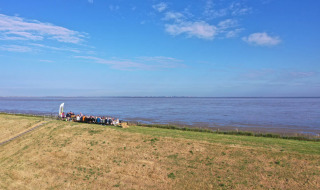 Un grupo de personas se sienta en una mesa cerca de la costa en las afueras de Westerland, Holanda Septentrional.