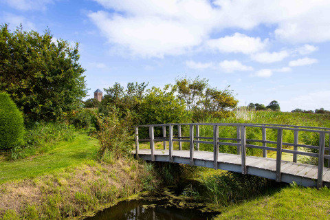 Puente de madera sobre un arroyo en Camping Waddenzee, rodeado de vegetación y cielo azul en Holanda Septentrional.