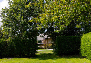 Alberi e siepi verdi circondano una tenda in lontananza al Camping Waddenzee, un villaggio vacanze in Olanda Settentrionale.