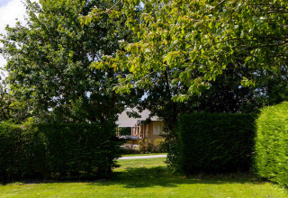 Green trees and hedges surround a tent in the distance at Camping Waddenzee, a holiday park in North Holland.