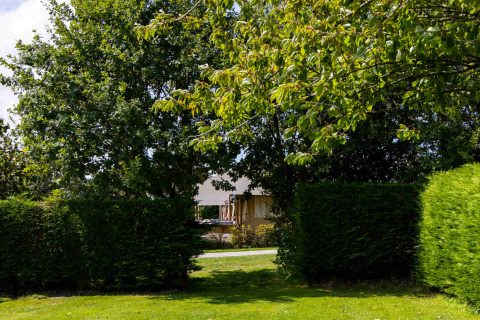 Des arbres et haies verts entourent une tente au loin au Camping Waddenzee, un parc de vacances en Hollande-Septentrionale.