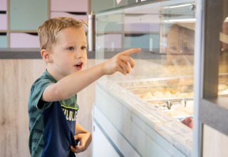 Ragazzo sceglie un gelato dal banco al Camping Waddenzee, villaggio turistico a Noord-Holland, Paesi Bassi.