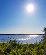 Día soleado junto a un lago rodeado de vegetación cerca de Westerland, en el norte de Holanda, Países Bajos.