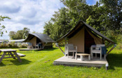 Cabañas Tiny Tent en Camping Waddenzee en Países Bajos, rodeadas de césped y muebles de madera.