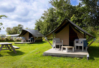 Cabañas Tiny Tent en Camping Waddenzee en Países Bajos, rodeadas de césped y muebles de madera.