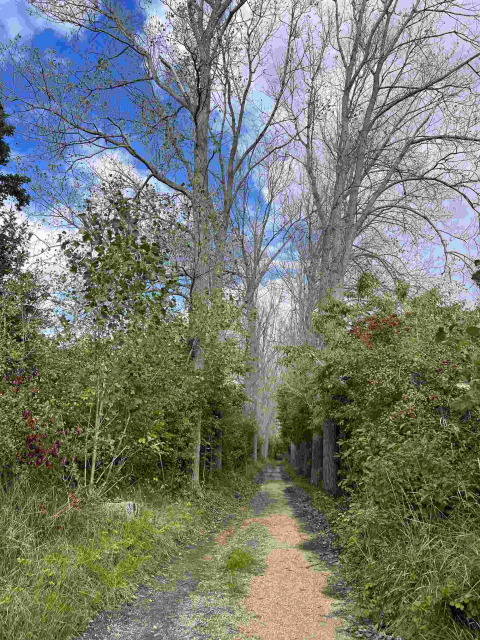 A peaceful path surrounded by green trees and bushes at Vakantiepark de Zeeuwse Parel, Zeeland, Netherlands.