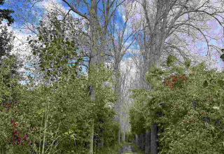 A peaceful path surrounded by green trees and bushes at Vakantiepark de Zeeuwse Parel, Zeeland, Netherlands.