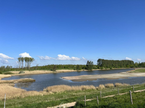 Paisaje con lago, juncos, bancos de arena y árboles en Vakantiepark de Zeeuwse Parel, Zelanda, Países Bajos.