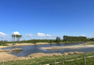 Paesaggio naturale con stagno, canneti e alberi a Vakantiepark de Zeeuwse Parel, Zeeland, Paesi Bassi.