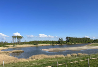 Paesaggio naturale con stagno, canneti e alberi a Vakantiepark de Zeeuwse Parel, Zeeland, Paesi Bassi.