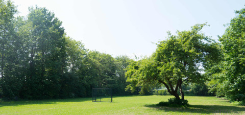 Ampio prato verde soleggiato con alberi e porta da calcio al Vakantiepark de Zeeuwse Parel, Zeeland, Paesi Bassi.