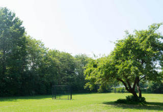 Ampio prato verde soleggiato con alberi e porta da calcio al Vakantiepark de Zeeuwse Parel, Zeeland, Paesi Bassi.