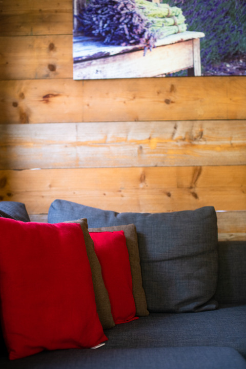 Sofá gris con cojines rojos frente a una pared de madera y un cuadro en una tienda safari en Tentlodge.
