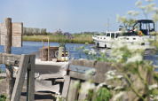 Tavolo da picnic all'aperto vicino all'acqua con fiori, bevande e una barca che passa sullo sfondo.