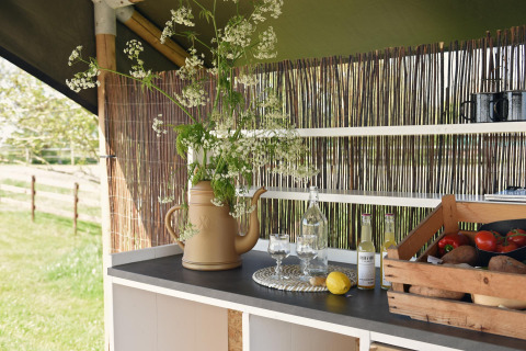 Encimera de cocina exterior con flores, limón, bebidas y verduras en Smûk Recreatie, parque vacacional, Friesland.
