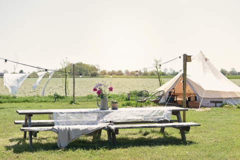 Picknicktafel met bloemen, tent en fietsen in het veld bij Smûk Recreatie, Friesland, Nederland.