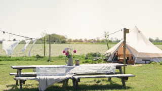 Table de pique-nique avec fleurs, tente et vélos sur une prairie au parc Smûk Recreatie, Frise, Pays-Bas.