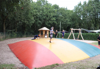 Niños jugando en una gran almohadilla de salto colorida en Holiday Park Duinhoeve, rodeados de árboles.