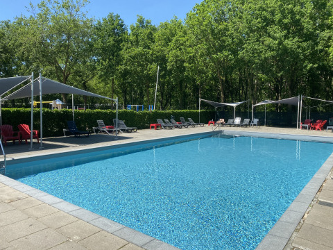 Buitenzwembad met ligstoelen en zonnezeilen bij Vakantiepark Duinhoeve in Noord-Brabant, Nederland.
