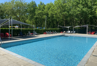 Udendørs swimmingpool med liggestole og parasoller i ferieparken Duinhoeve i Nord-Brabant, Holland.