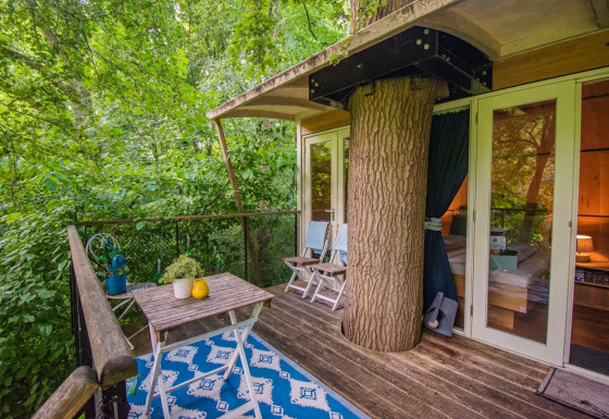 Suite en casa del árbol con un gran árbol atravesando la terraza, asientos exteriores y vista boscosa.