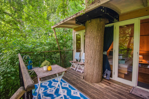 Suite casa sull'albero con un grande albero attraverso il terrazzo, tavolo, sedie e vista sul bosco verde.