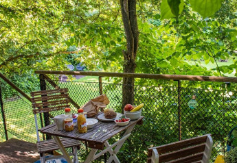 Breakfast set on a treehouse balcony at Buytenplaets Suydersee in the Netherlands, surrounded by lush greenery.