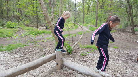 Dos niños juegan equilibrándose sobre troncos de madera en el bosque de Vakantiepark De Luttenberg, Overijssel.