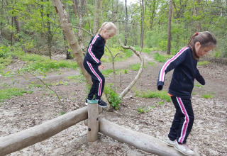 Twee kinderen balanceren op houten stammen in het bos bij Vakantiepark De Luttenberg, Overijssel.