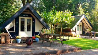 Two tiny Trekkershut cabins nestled in green woods with a picnic table, plants, and a fire pit outside.