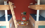 Vier Etagenbetten in einer kleinen, modernen Holzhütte mit roter Wand und buntem Tigerteppich am Boden.