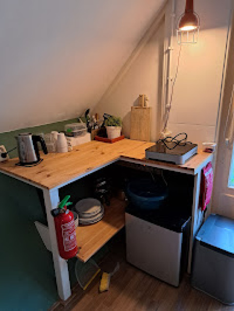 Compacte keukenhoek met kooktoestel, waterkoker, planten en brandblusser in een tiny house in Nederland.