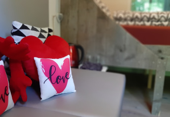 Accogliente interno della tiny house Pipo Love a Buytenplaets Suydersee, Paesi Bassi, con cuscini a cuore.