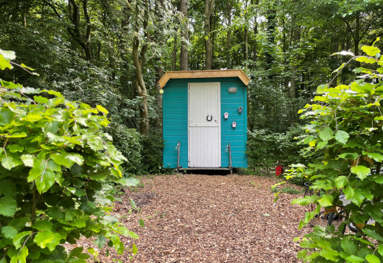Pequeña casa azul llamada Pipo Pip en el bosque, rodeada de árboles y arbustos verdes sobre suelo de madera.