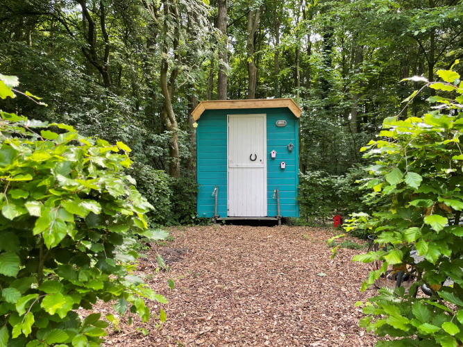 Pequeña casa azul llamada Pipo Pip en el bosque, rodeada de árboles y arbustos verdes sobre suelo de madera.