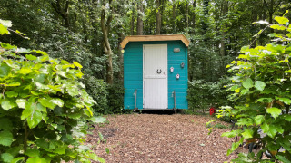 Pequeña casa azul llamada Pipo Pip en el bosque, rodeada de árboles y arbustos verdes sobre suelo de madera.
