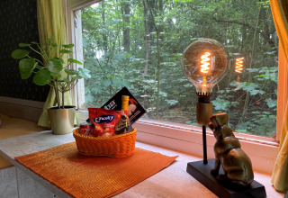 Ventana acogedora en la tiny house Pipo Pip con snacks, lámpara, planta y vista al bosque en Buytenplaets Suydersee.