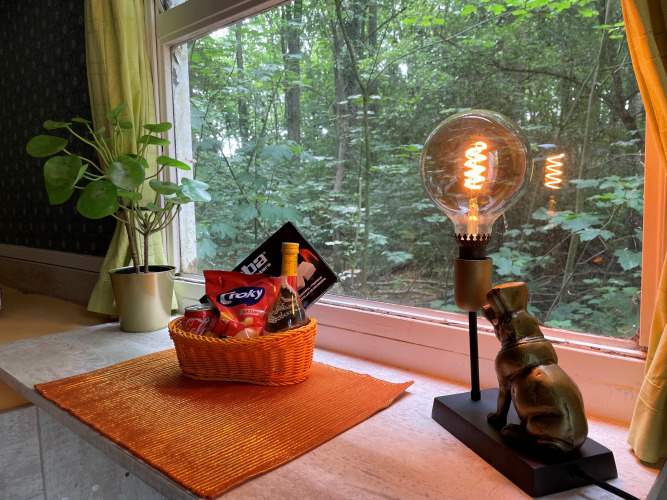 Gemütliche Fensterbank im Tiny House Pipo Pip mit Snacks, Lampe, Pflanze und Ausblick auf den Wald in Suydersee.