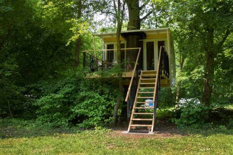 Modern treehouse named Boomhut Family elevated among lush green trees with a wooden staircase leading up.