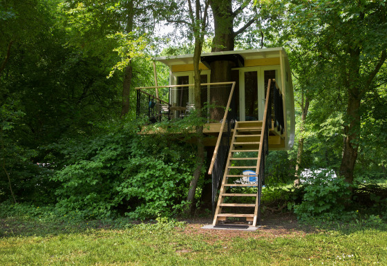 Modern treehouse named Boomhut Family elevated among lush green trees with a wooden staircase leading up.