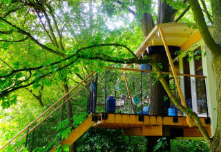 A vibrant treehouse named Boomhut Family at Buytenplaets Suydersee in the Netherlands, among lush trees.