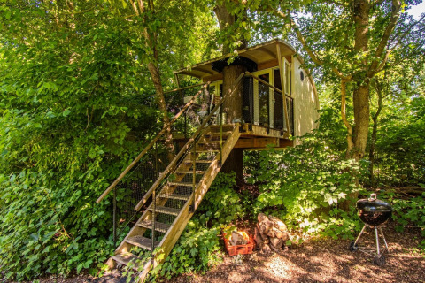 Treehouse called Boomhut Family at Buytenplaets Suydersee, Netherlands, surrounded by green forest trees.