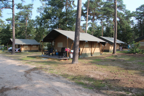 Safari-telte ved Eurocamping Vessem BV i Holland, omgivet af skov og udendørs siddepladser på verandaer.